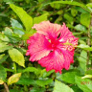 Meet your Posher, Myob